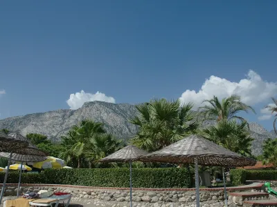 Champion Holiday Village